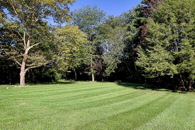 3226 thoburn-rear yard