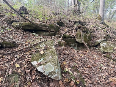 0 New England Ridge Rd unit 25758592, Washington, WV 26181 - photo 6