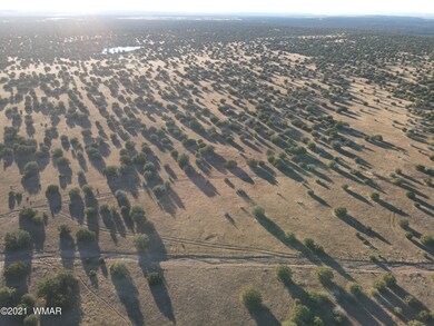 DJI_0366