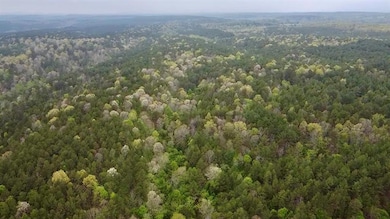 40 Trout Creek Rd, Watson, OK 74963 - photo 3