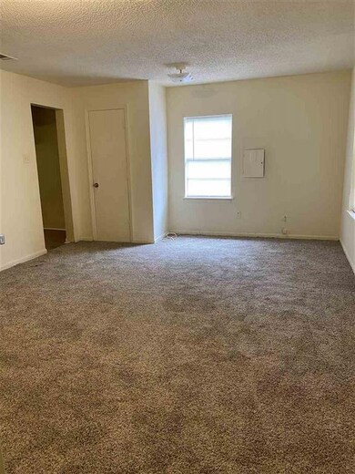 Living Room with New Carpet