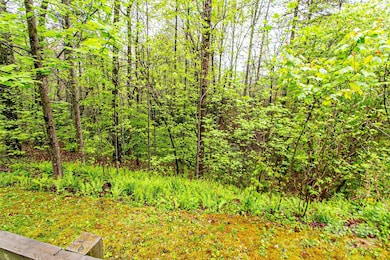 TBD High Hemlock Trail unit 46, Brevard, NC 28712 - photo 5