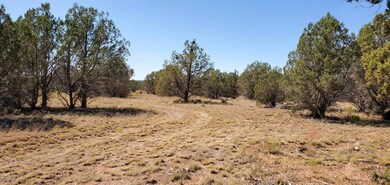 962 W Valley View Blvd, Ash Fork, AZ 86320 - photo 5