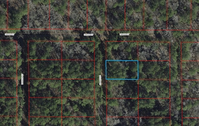 Scott St, Brandon, MS 39042 - photo 4