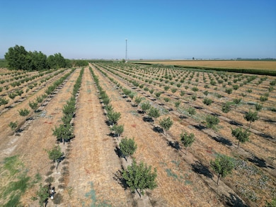 4320 E Sandy Mush Rd, Merced, CA 95341 - photo 5