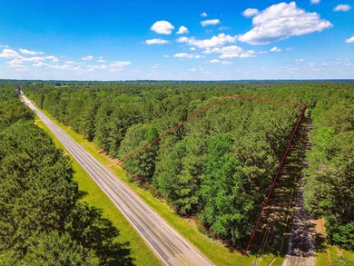 Drone / aerial view featuring a view of trees