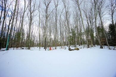 50 Mooers Rd, Nottingham, NH 03290 - photo 7