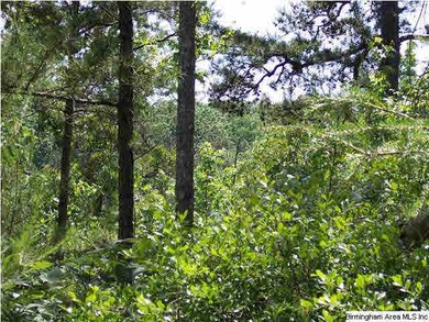 Fully wooded tract with views