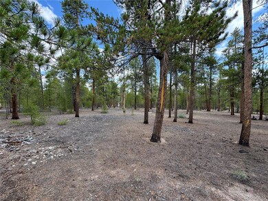 719 Peakview unit 352A, Twin Lakes, CO 81251 - photo 3