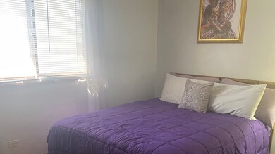 18110 Soleri Dr, Country Club Hills, IL 60478 - photo 6