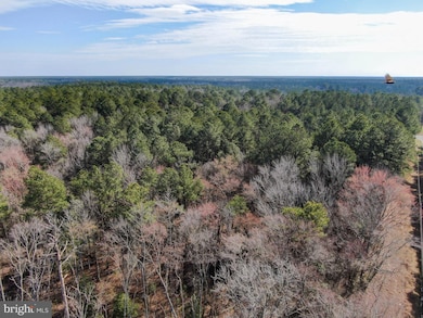 LOT 4 Sand Rd, Snow Hill, MD 21863 - photo 3