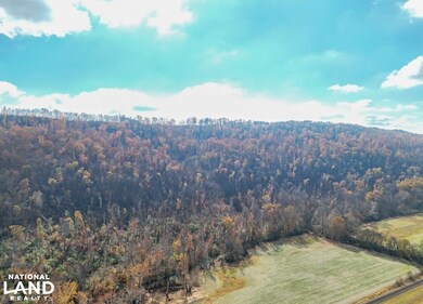 0 US Highway 11 N, Attalla, AL 35954 - photo 6