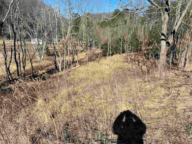 TBD Pilot Rd, Christiansburg, VA 24073 - photo 5