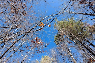 5417 Turner Smith Rd, Browns Summit, NC 27214 - photo 7