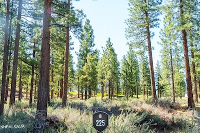 225 clear creek-2