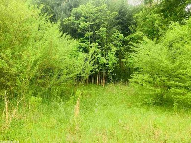 27909 Nichols Loop Rd, Little Rock, AR 72223 - photo 4