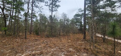 000 SW 92nd Place, Dunnellon, FL 34432 - photo 5