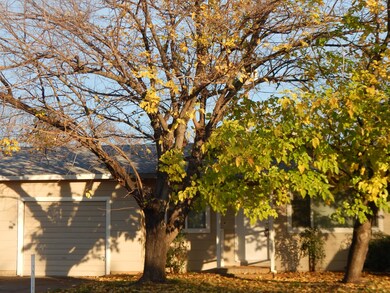 DSCN3268