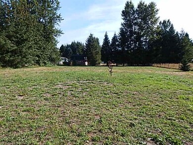 20803 180th St E, Orting, WA 98360 - photo 2