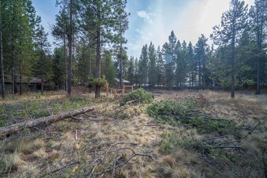 17041 Glendale Rd, Three Rivers, OR 97707 - photo 4