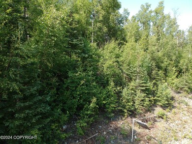 17643 E Castle Rock Ln, Palmer, AK 99645 - photo 4