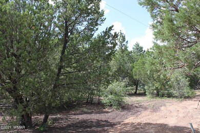 2612 Mescalero Dr, Show Low, AZ 85901 - photo 6