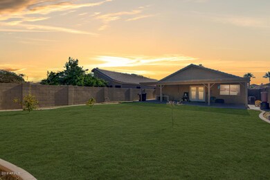 Potential Backyard Possibility