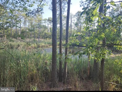 0 Wesley Rd unit MDDO2006240, Wingate, MD 21675 - photo 4