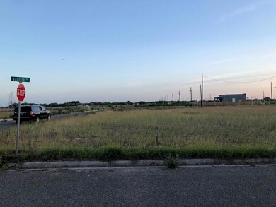 00 Vanilla Dr, Alamo, TX 78516 - photo 2