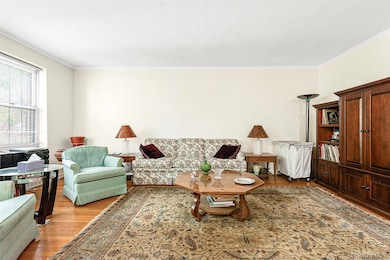 George Washington Apartments unit D43, Forest Hills, NY 11375 - photo 6