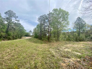 44035 Max Brumfield Rd, Franklinton, LA 70438 - photo 6