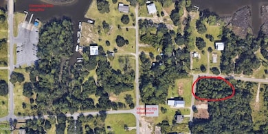 Satellite Image
