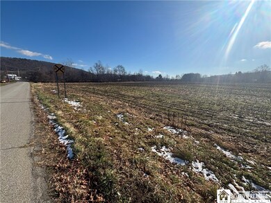 0 Scio Rd unit R1651879, Amity, NY 14813 - photo 7