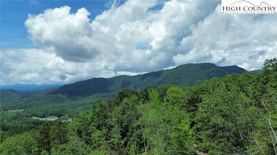 10 Sequoyah Cir, Marion, NC 28752 - photo 4