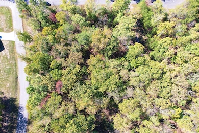 2-web-or-mls-DJI_0015