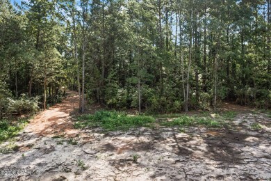 XXX Sinclair St, Chipley, FL 32428 - photo 7