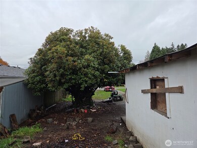 0 E Orange Ave, Burlington, WA 98233 - photo 4