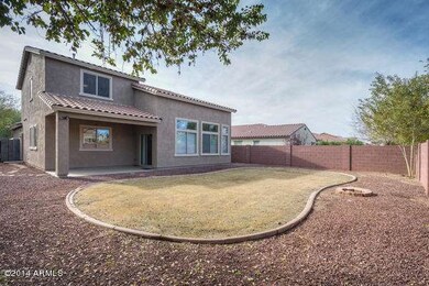 1362 E Cassia backyard