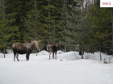 158 Dubius Creek Rd, Priest River, ID 83856 - photo 2