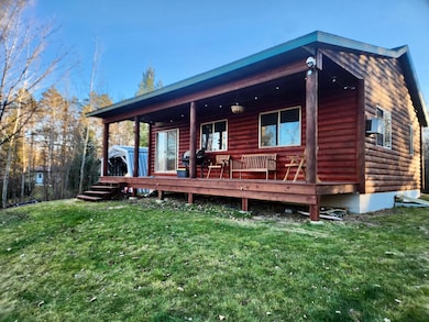 17501 S Blueberry Rd, Menahga, MN 56464 - photo 2