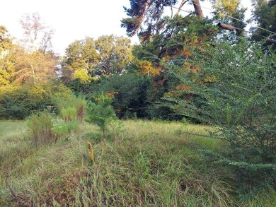 0 Pearson St, Avinger, TX 75630 - photo 2