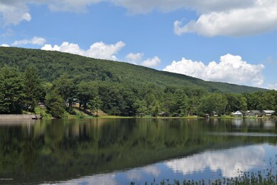 27 Lake Dr, Ashland, PA 17921 - photo 3