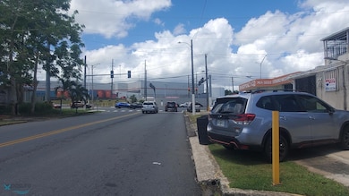 1153 Antonio Luciano, San Juan, PR 00924 - photo 2