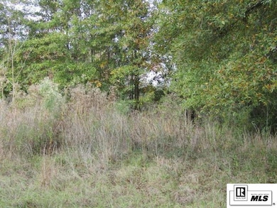 000 State Route 585, Alto, LA 71269 - photo 6