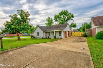 Driveway View