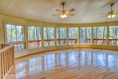 Panoramic views of the forest