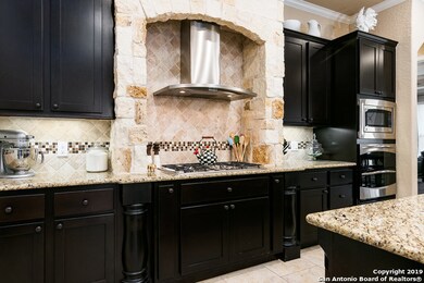 3839 Ox-Eye Daisy, San Antonio, TX 78261 - photo 7