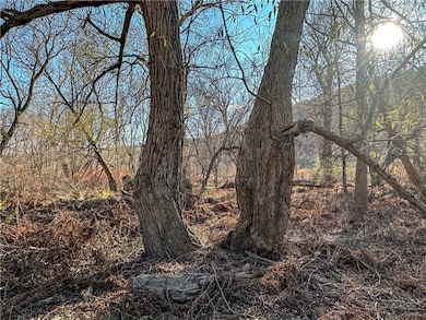 VL County Route 119 N, Cameron, NY 14819 - photo 6