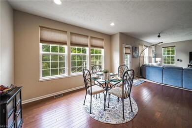 700 Shannon Place, Aurora, OH 44202 - photo 7