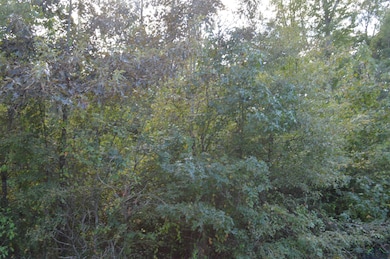 TBD Shady Grove Rd, Jefferson, TX 75657 - photo 2